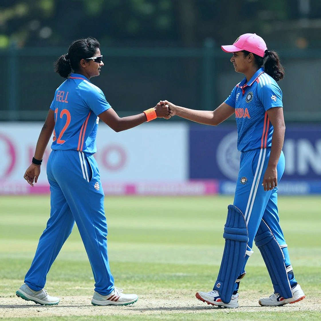 इडन पार्क का 259 और वह 87 रन का अंतर: स्कोरकार्ड जो दिखाता है, और जो छिपा देता है